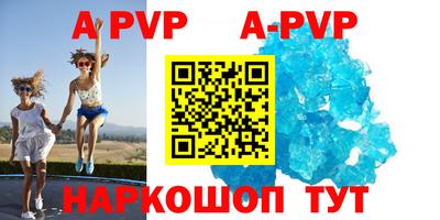 стафф Новокубанск