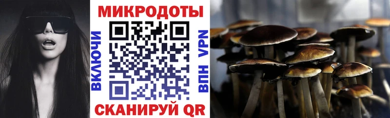 Псилоцибиновые грибы Cubensis MEGA зеркало Северск