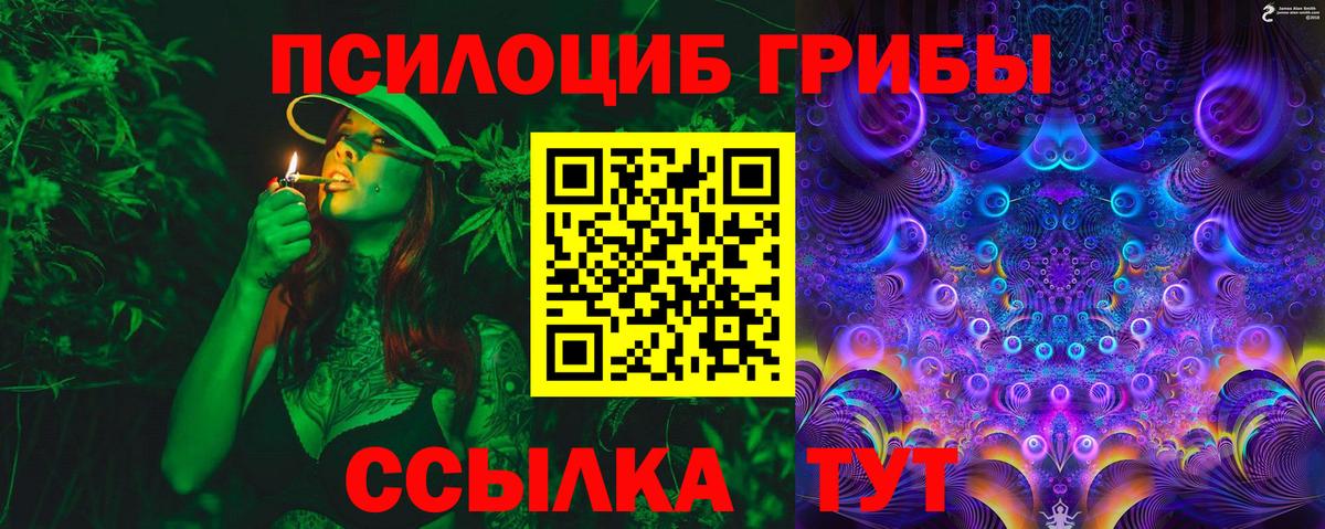 Галлюциногенные грибы Cubensis  Вход с VPN  Северск  Галлюциногенные грибы прущие грибы 